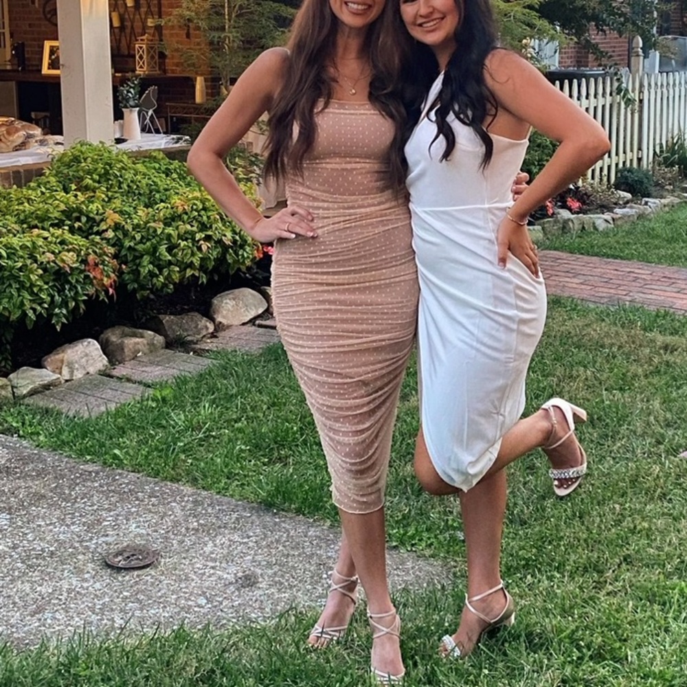 Small Revolve Mesh Dress h:ours